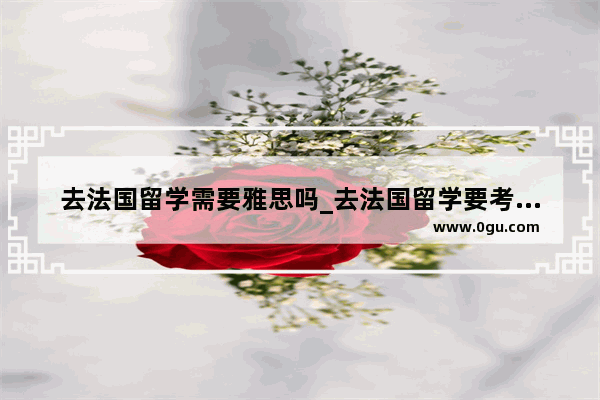 去法国留学需要雅思吗_去法国留学要考雅思还是托福