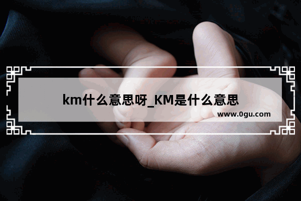 km什么意思呀_KM是什么意思