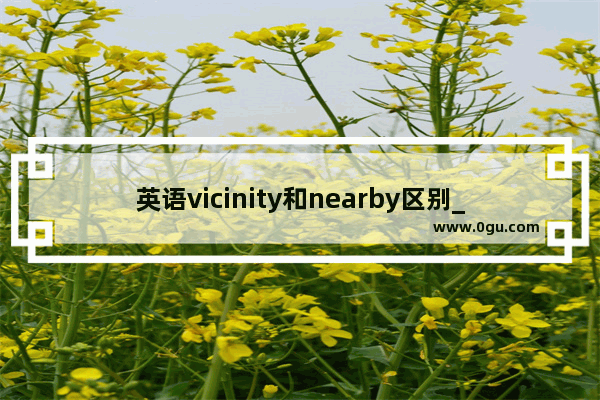 英语vicinity和nearby区别_左右用英文怎么写