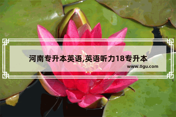 河南专升本英语,英语听力18专升本