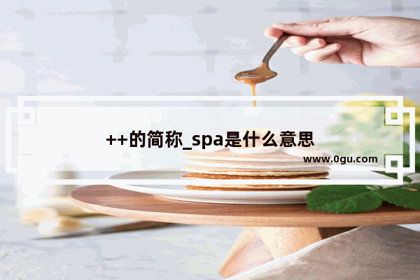 ++的简称_spa是什么意思