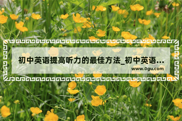 初中英语提高听力的最佳方法_初中英语加听力及格分数是多少