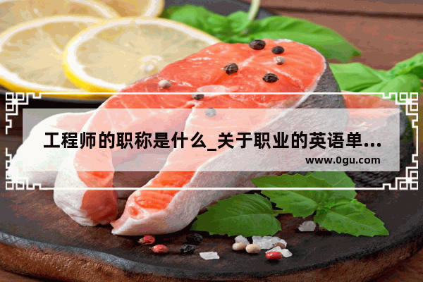 工程师的职称是什么_关于职业的英语单词有哪些