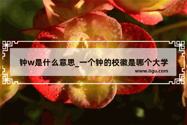 钟w是什么意思_一个钟的校徽是哪个大学