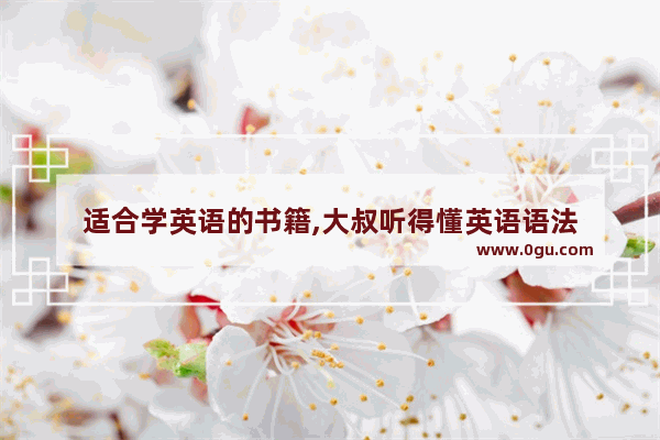 适合学英语的书籍,大叔听得懂英语语法