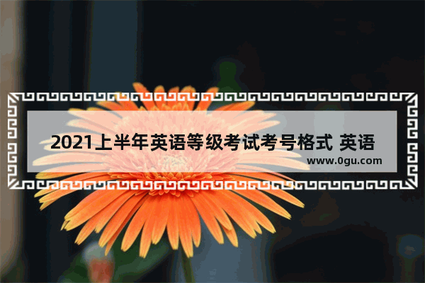 2021上半年英语等级考试考号格式 英语考试等级规划怎么写