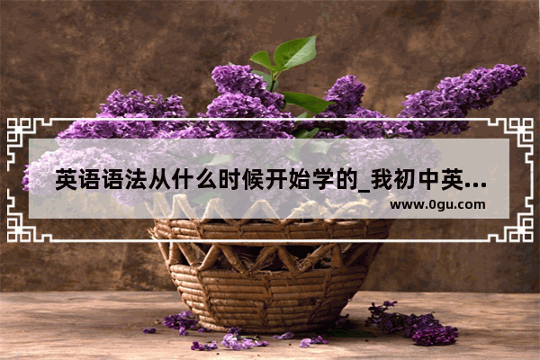 英语语法从什么时候开始学的_我初中英语学了快两年了 但我不懂语法 只一味地背单词 不会怎样把单词凑成句子 怎么办