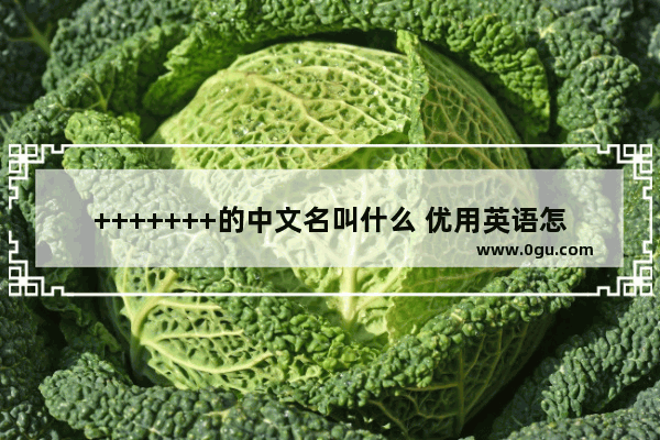 +++++++的中文名叫什么 优用英语怎么说