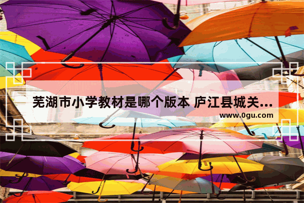 芜湖市小学教材是哪个版本 庐江县城关小学英语