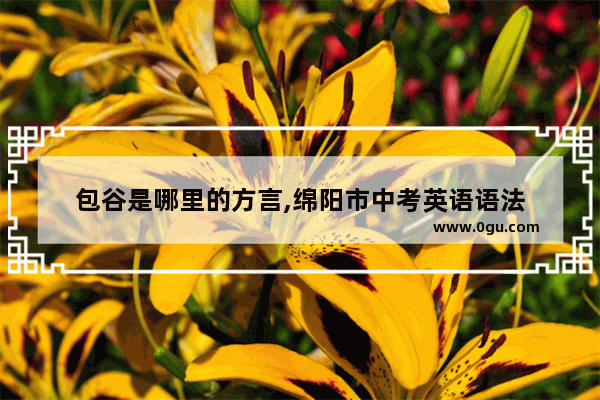 包谷是哪里的方言,绵阳市中考英语语法