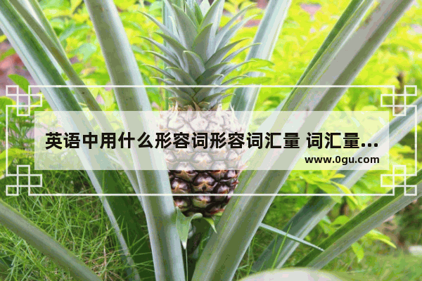 英语中用什么形容词形容词汇量 词汇量英语