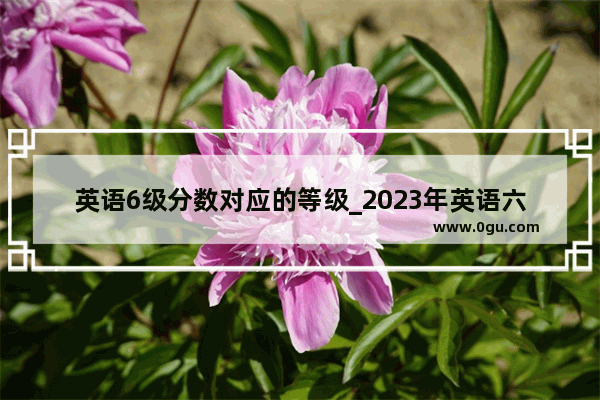 英语6级分数对应的等级_2023年英语六级分数多少算优秀