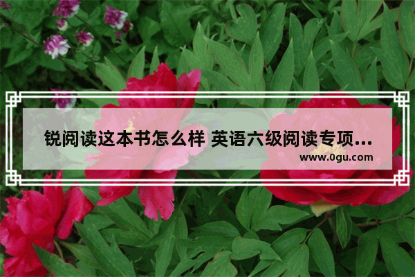锐阅读这本书怎么样 英语六级阅读专项强化