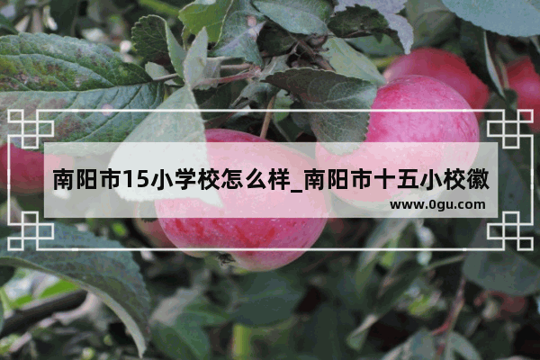 南阳市15小学校怎么样_南阳市十五小校徽含义