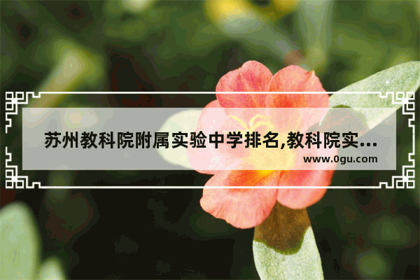 苏州教科院附属实验中学排名,教科院实验小学英语