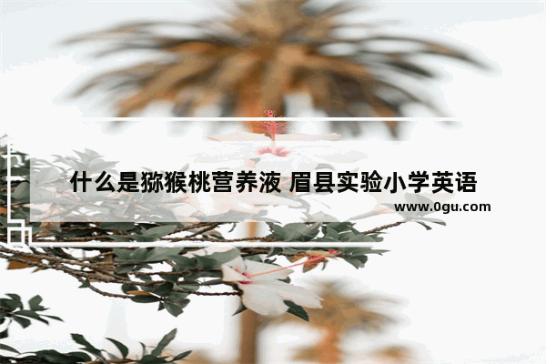 什么是猕猴桃营养液 眉县实验小学英语