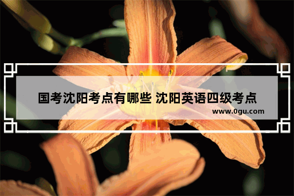 国考沈阳考点有哪些 沈阳英语四级考点