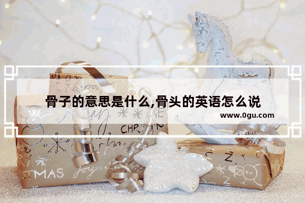 骨子的意思是什么,骨头的英语怎么说