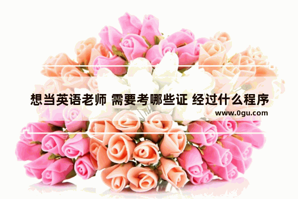想当英语老师 需要考哪些证 经过什么程序呢_我是学小语种的 可以考英语专业的教师资格证吗 因为想当英语老师