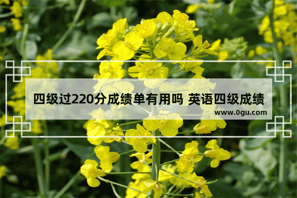 四级过220分成绩单有用吗 英语四级成绩220