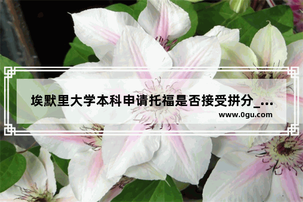埃默里大学本科申请托福是否接受拼分_东京理科接受托福拼分吗