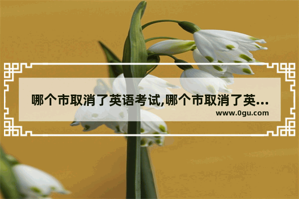 哪个市取消了英语考试,哪个市取消了英语考试