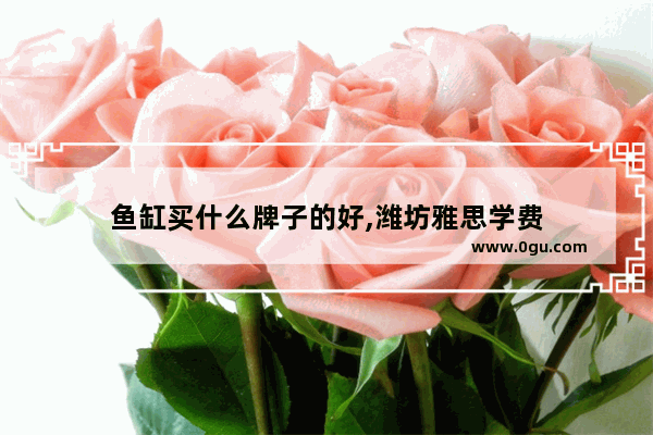 鱼缸买什么牌子的好,潍坊雅思学费