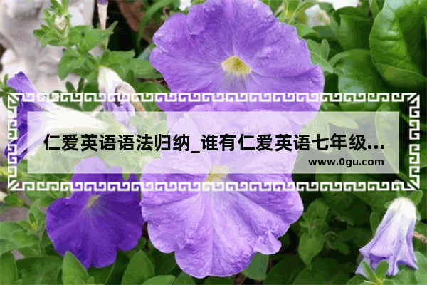仁爱英语语法归纳_谁有仁爱英语七年级下册语法总结和专练