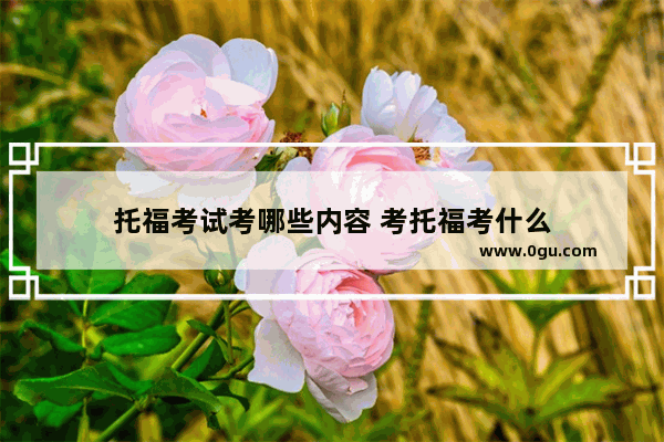 托福考试考哪些内容 考托福考什么