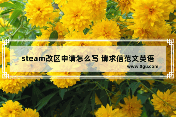 steam改区申请怎么写 请求信范文英语作文