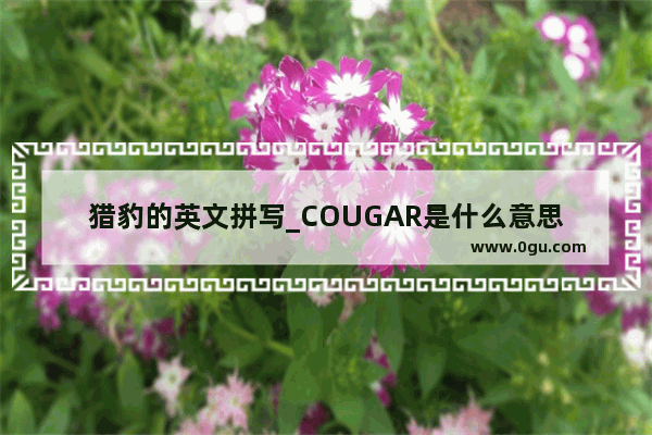 猎豹的英文拼写_COUGAR是什么意思