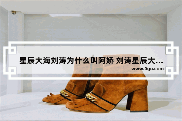 星辰大海刘涛为什么叫阿娇 刘涛星辰大海英语六级