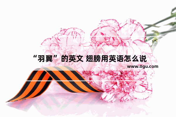 “羽翼”的英文 翅膀用英语怎么说