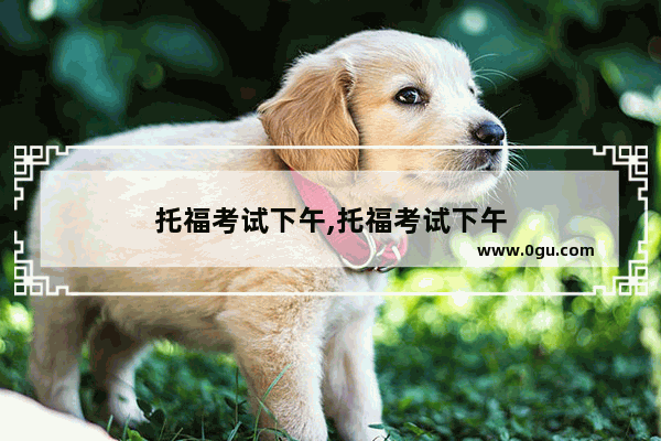 托福考试下午,托福考试下午