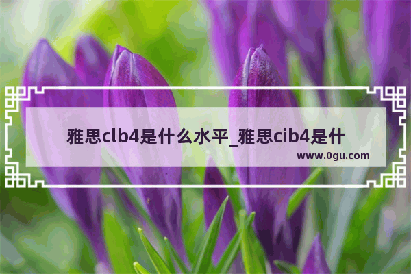 雅思clb4是什么水平_雅思cib4是什么水平