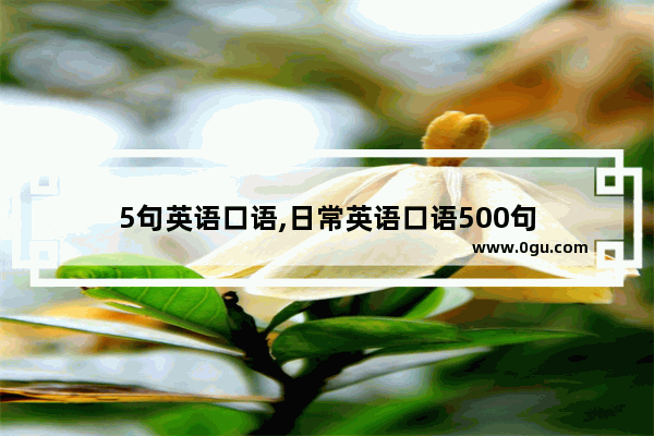 5句英语口语,日常英语口语500句