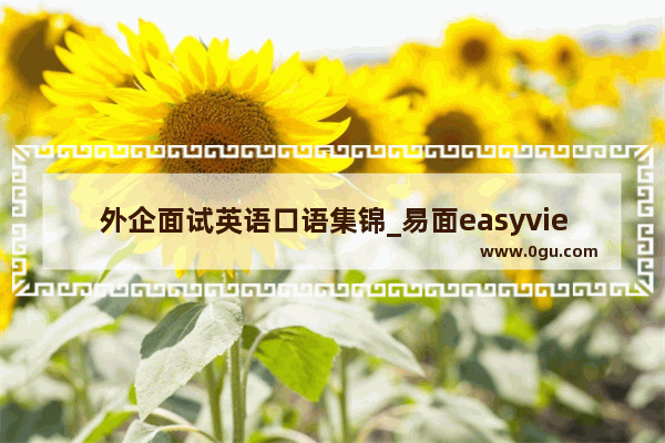 外企面试英语口语集锦_易面easyview面试内容