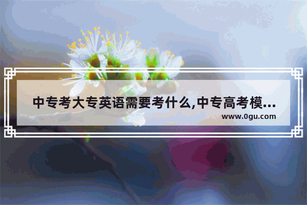 中专考大专英语需要考什么,中专高考模拟试卷英语语法