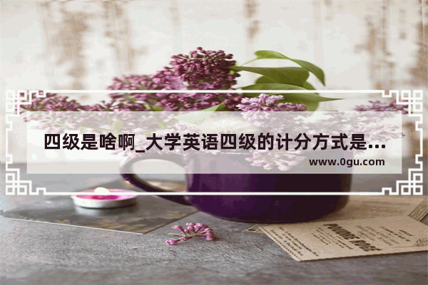 四级是啥啊_大学英语四级的计分方式是什么