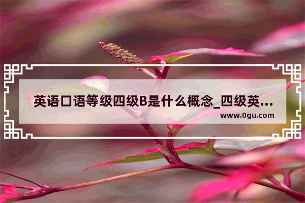 英语口语等级四级B是什么概念_四级英语口语成绩b是多少分