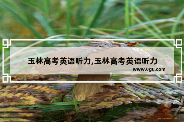 玉林高考英语听力,玉林高考英语听力