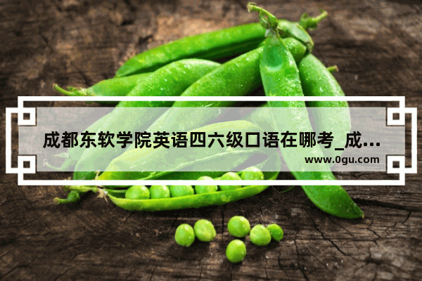 成都东软学院英语四六级口语在哪考_成都东软学院怎么样 我是四川理科考生 今年考了455