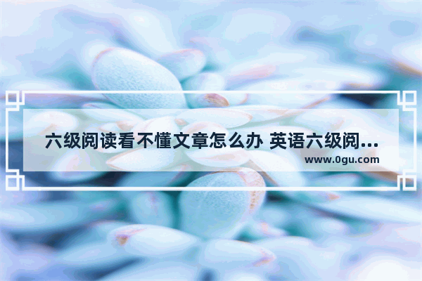 六级阅读看不懂文章怎么办 英语六级阅读看不懂