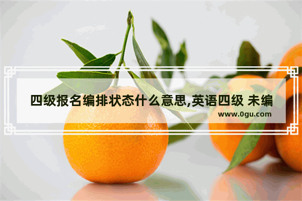 四级报名编排状态什么意思,英语四级 未编排