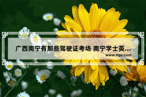 广西南宁有那些驾驶证考场 南宁学士英语考试考点