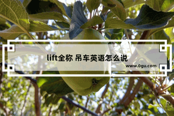 lift全称 吊车英语怎么说