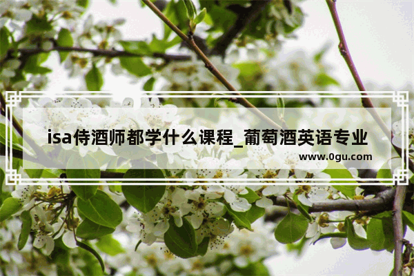 isa侍酒师都学什么课程_葡萄酒英语专业术语