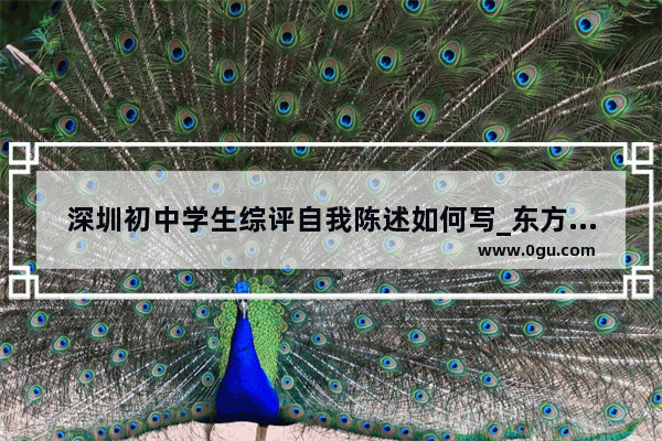 深圳初中学生综评自我陈述如何写_东方英文书院闹鬼事件是真的吗