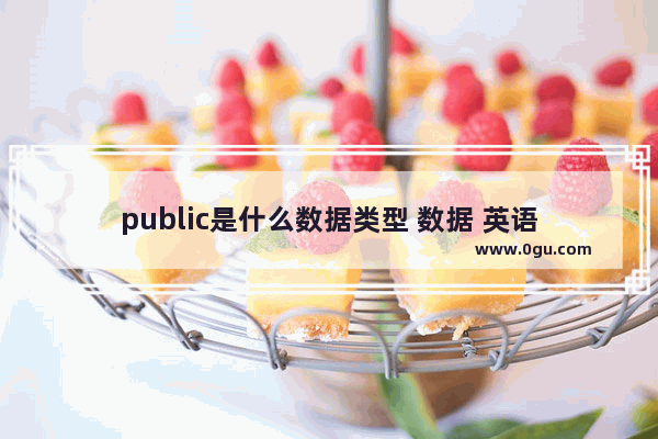public是什么数据类型 数据 英语