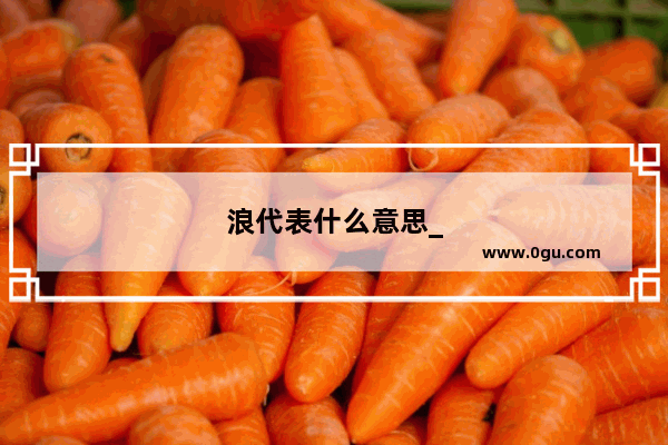浪代表什么意思_🌊是什么玩意啊